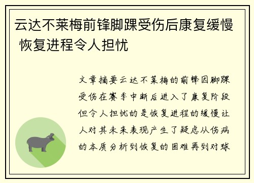 云达不莱梅前锋脚踝受伤后康复缓慢 恢复进程令人担忧